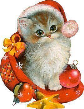 blague de chats